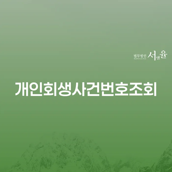 오래된채무 연체 시 개인회생 제도 잘 하는 사무소